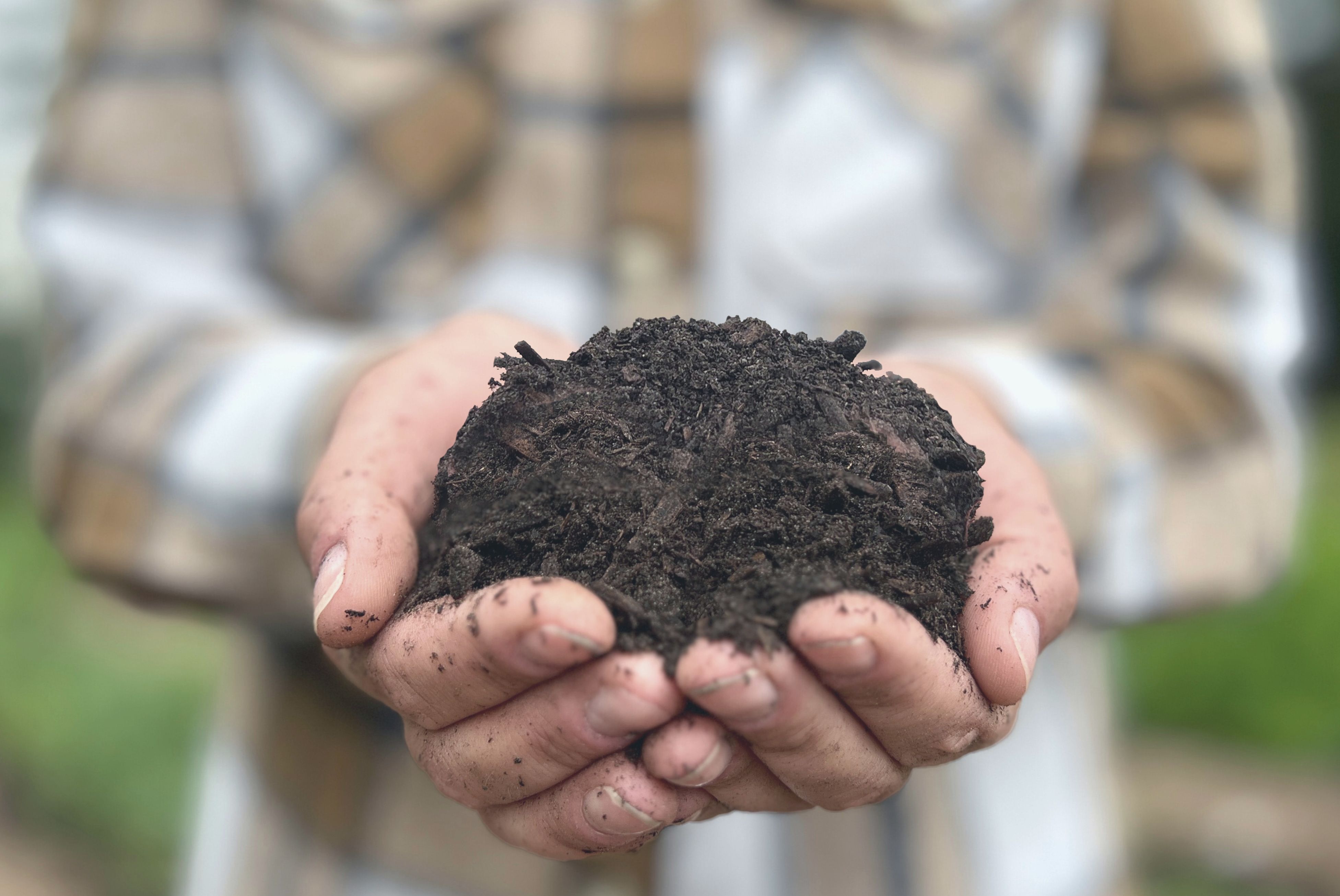 Pilekompost I Hænder Ternet2 Kopi