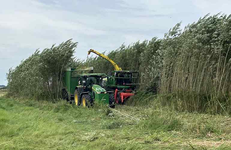 NY VRAA Finsnitter Jogn Deere Pilehøst