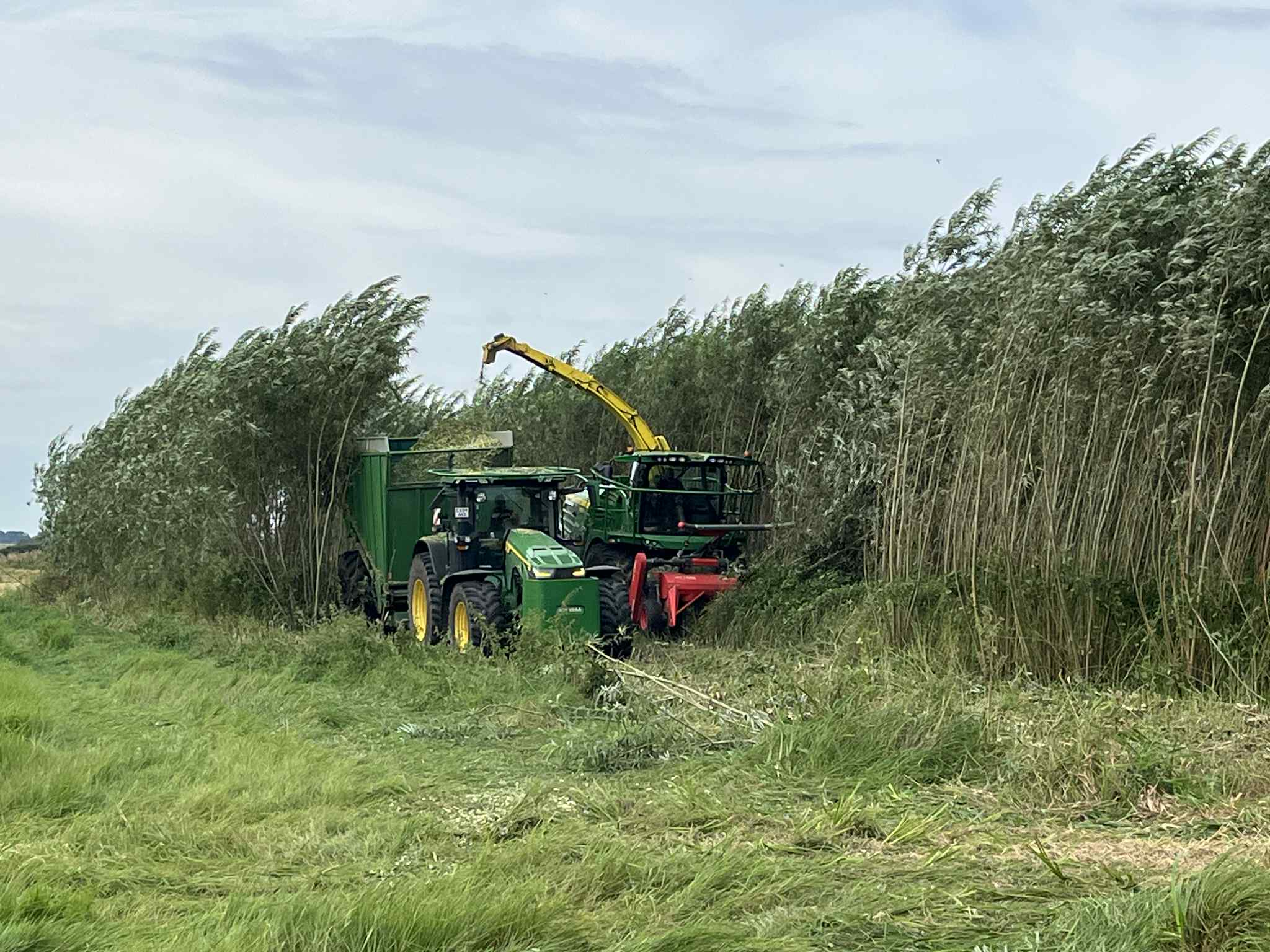 NY VRAA Finsnitter Jogn Deere Pilehøst