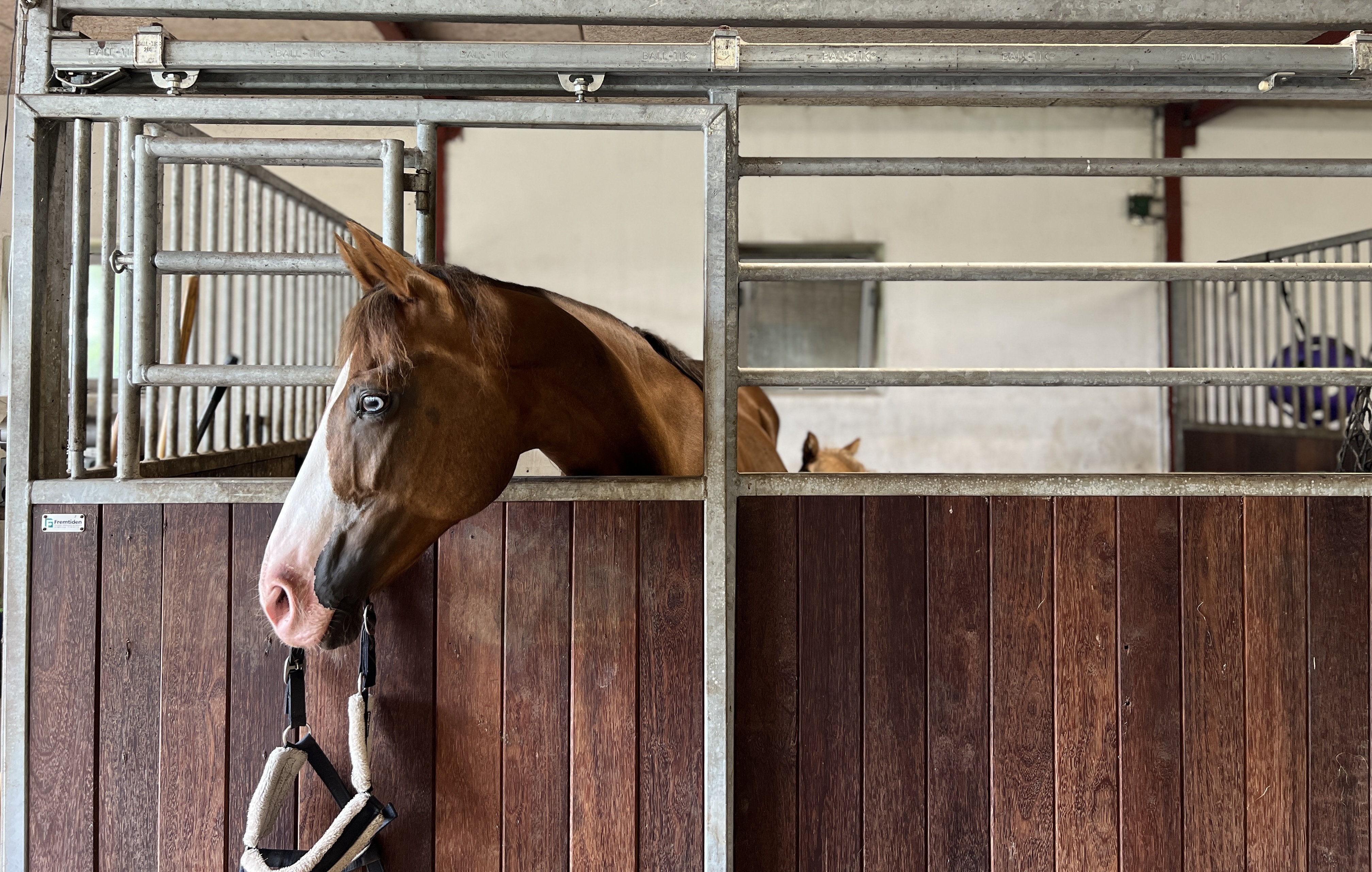 Hest Stald Klippet