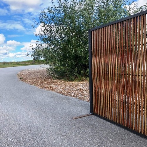 Pilehegn 500X500 (1)