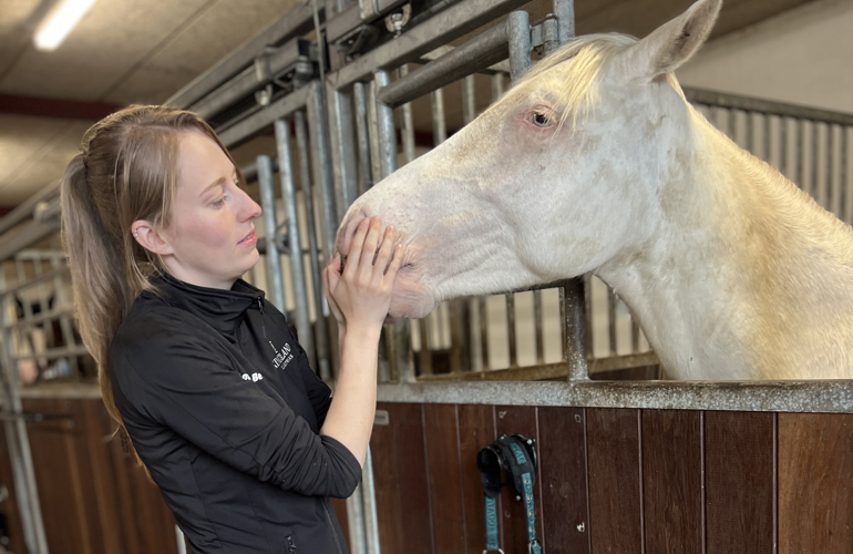 Louise Hvid Hest Bech Quarters
