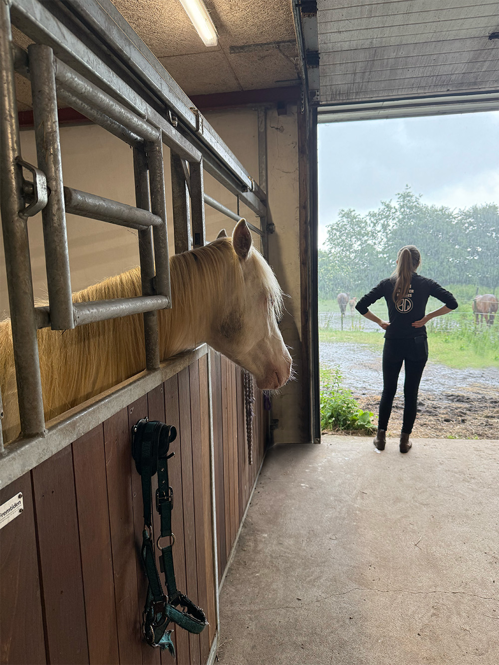 Louise Og Hest (1)