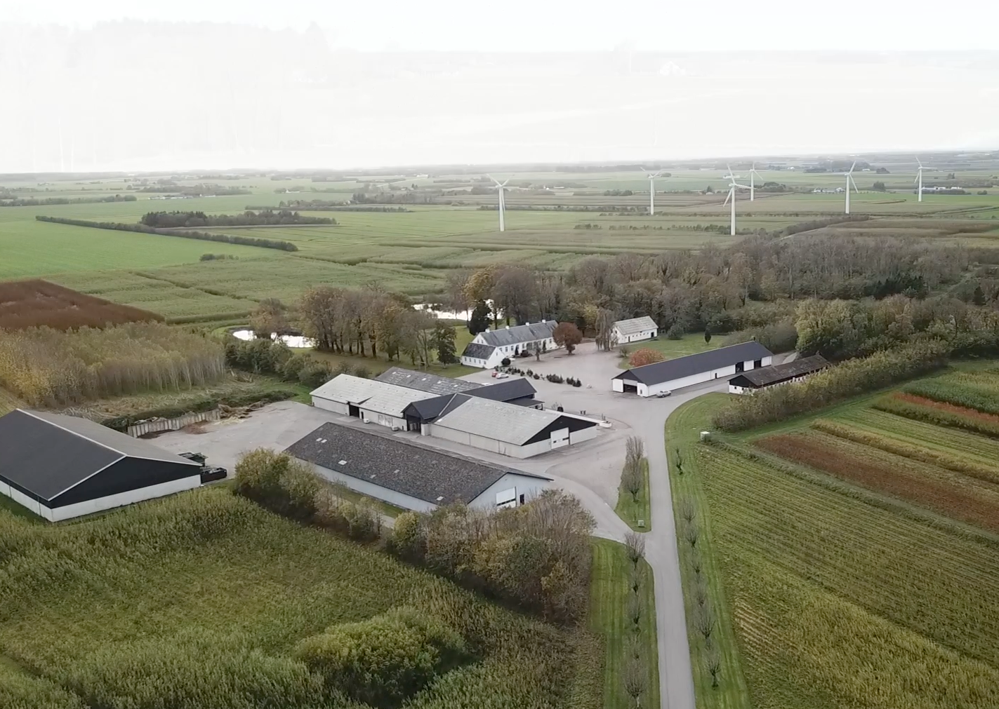 Skærmbillede 2022 10 19 Kl. 11.29.18