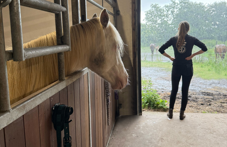 Louise Og Hest 1