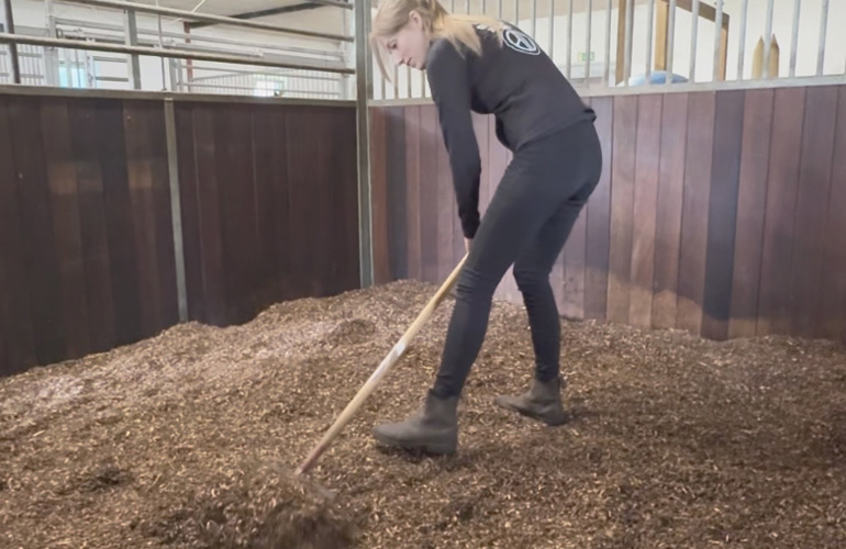 Guide Nordic Willow Horse BIOBED2