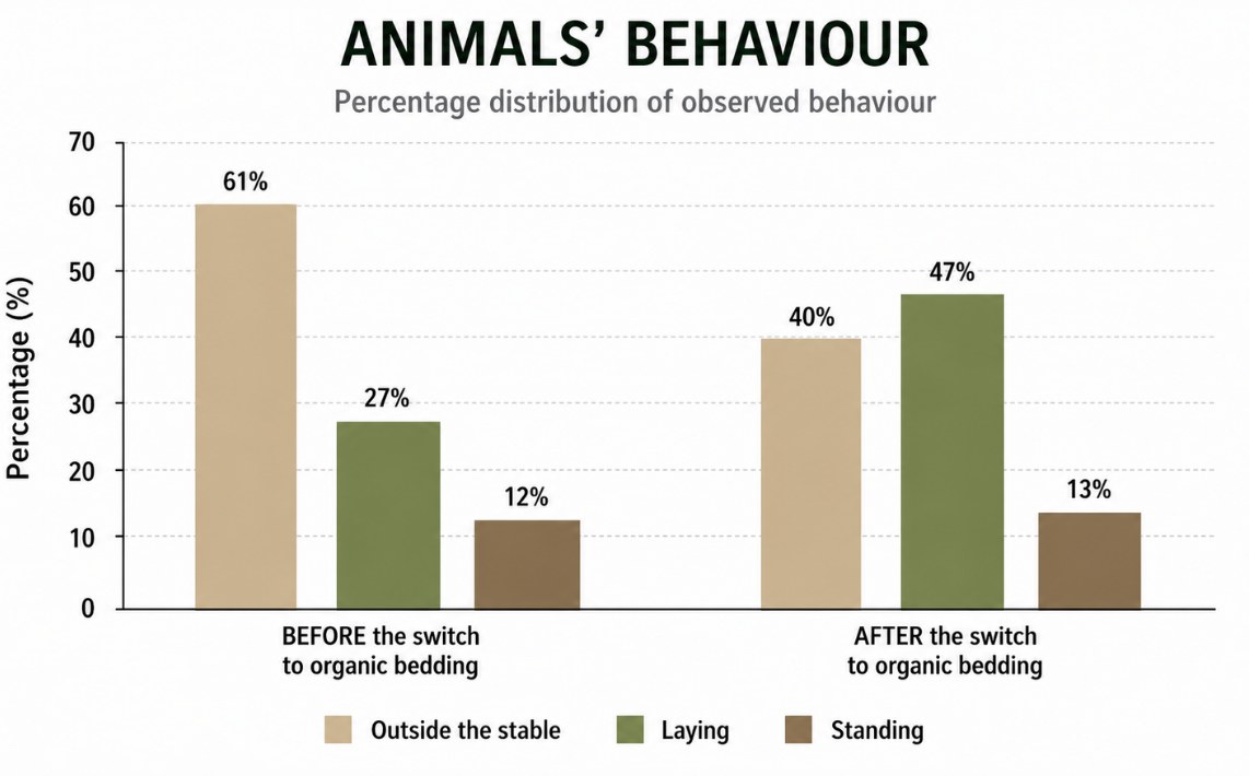 Chart Animals Behaviour